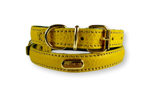 La Cinopelca Designer Leather Dog Collar Yellow Dog Collars Cara Mia Dogwear 