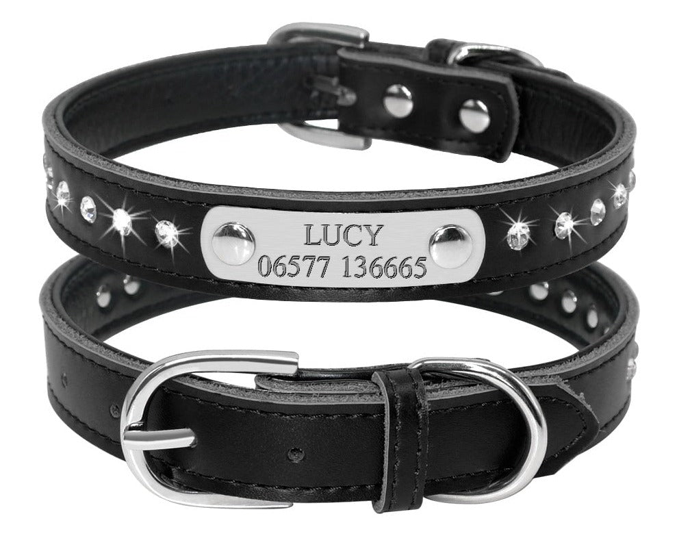 Name Plate Rhinestone Leather Dog Collar Black Dog Collars Cara Mia Dogwear 