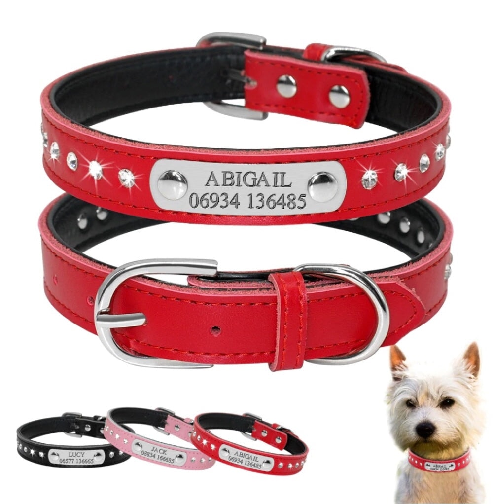 Name Plate Rhinestone Leather Dog Collar Red Dog Collars Cara Mia Dogwear 