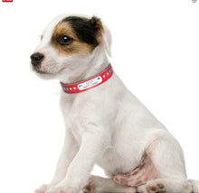 Load image into Gallery viewer, Name Plate Rhinestone Leather Dog Collar Red Dog Collars Cara Mia Dogwear 
