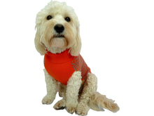 Load image into Gallery viewer, Orange and Grey Nordic Knit Dog Sweater Sweaters Cara Mia Dogwear 
