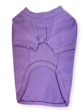 Load image into Gallery viewer, Violet 100% Cotton T-Shirt T-Shirt Cara Mia Dogwear 
